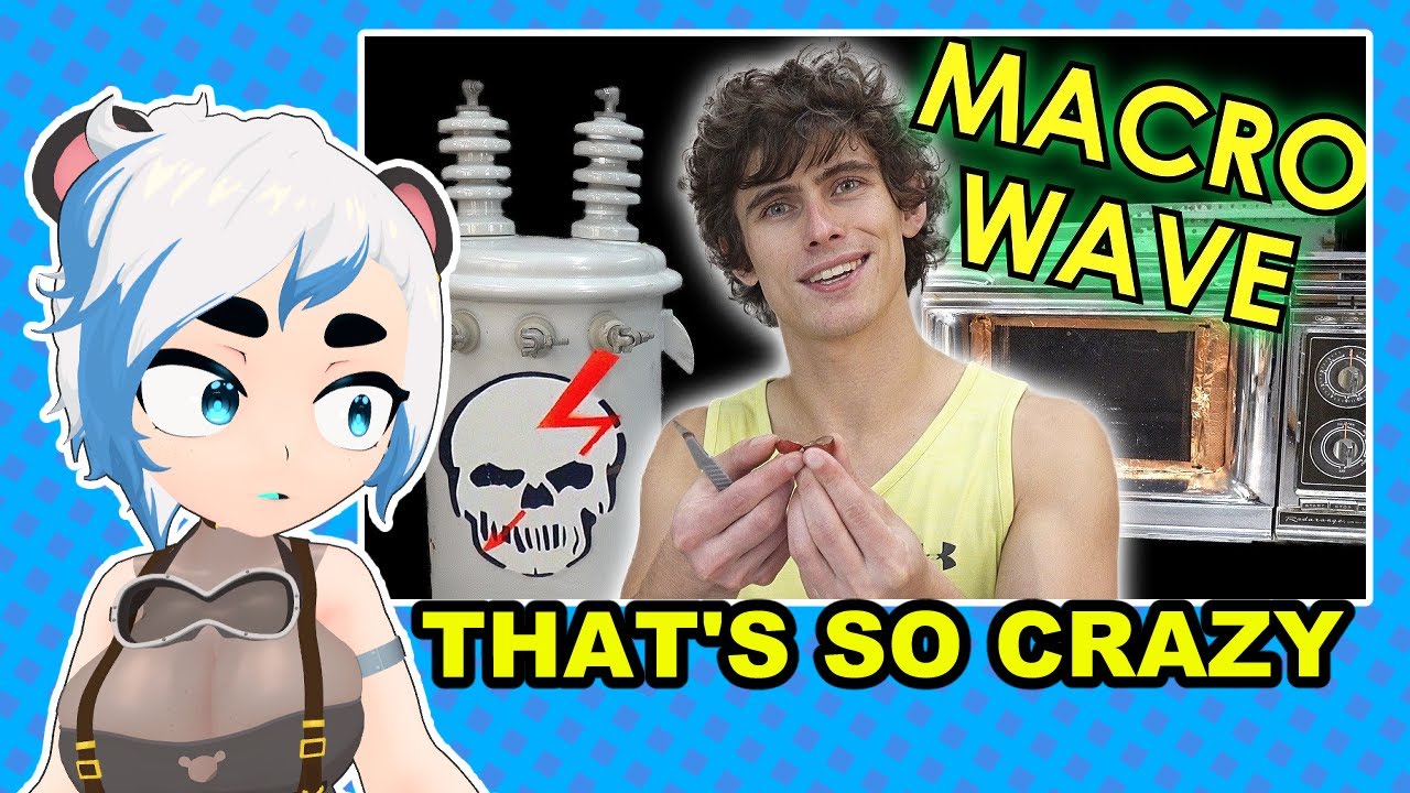THE MACROWAVE | Azura Reacts to Styropyro #reaction #vtuber #microwave