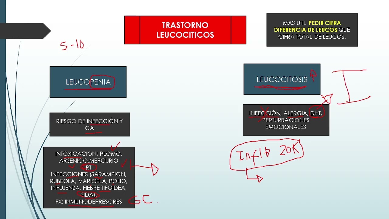 sangre 2.      #Morfofunción   #Propedeutico #medicina   #Umss