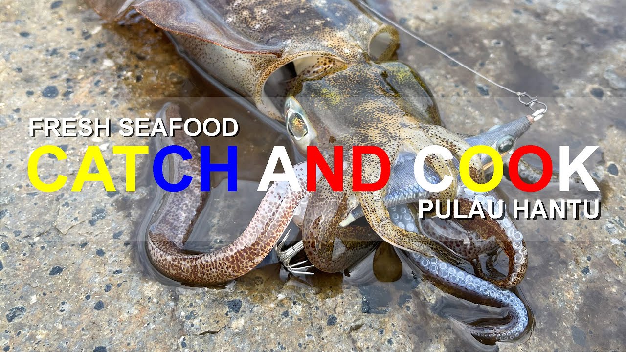 FRESH SEAFOOD | CATCH AND COOK| PULAU HANTU SINGAPORE
