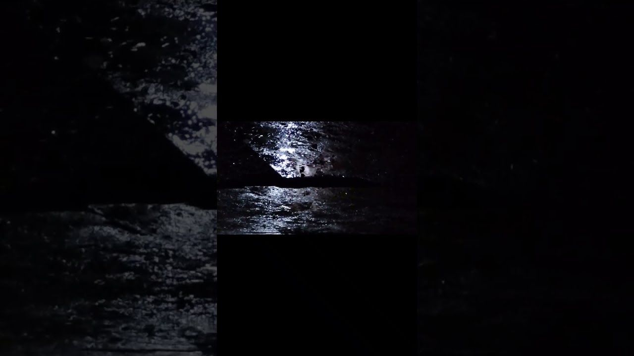 Rain Master (seng) ASMR