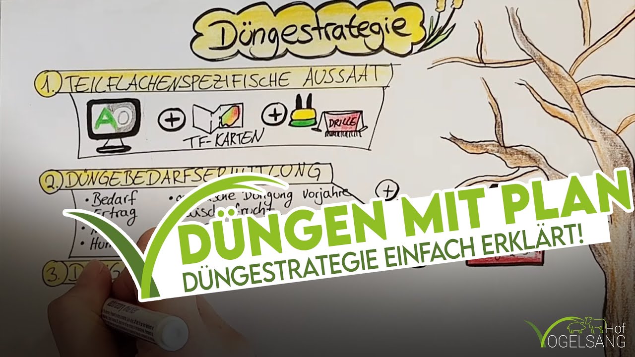 Düngen mit Plan 💡 Düngestrategie im Getreide einfach erklärt!