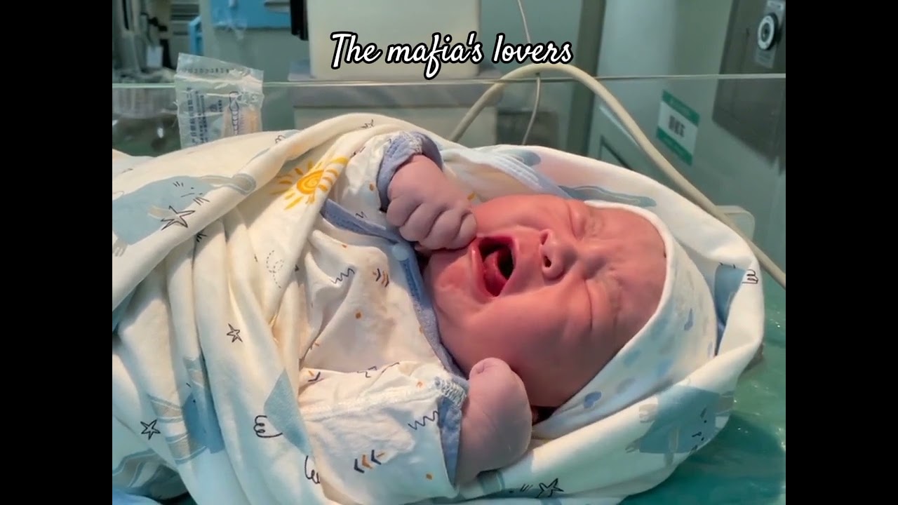 the mafia's lovers next part keberapa ya... 😋 coba komen next lagi nggak