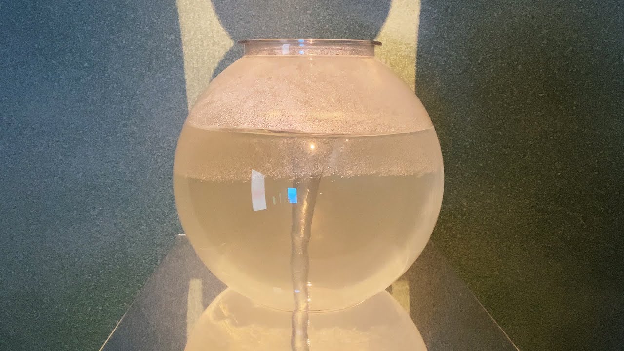 Sarah Rothberg and Marina Zurkow : Wet Logic | Bitforms Gallery