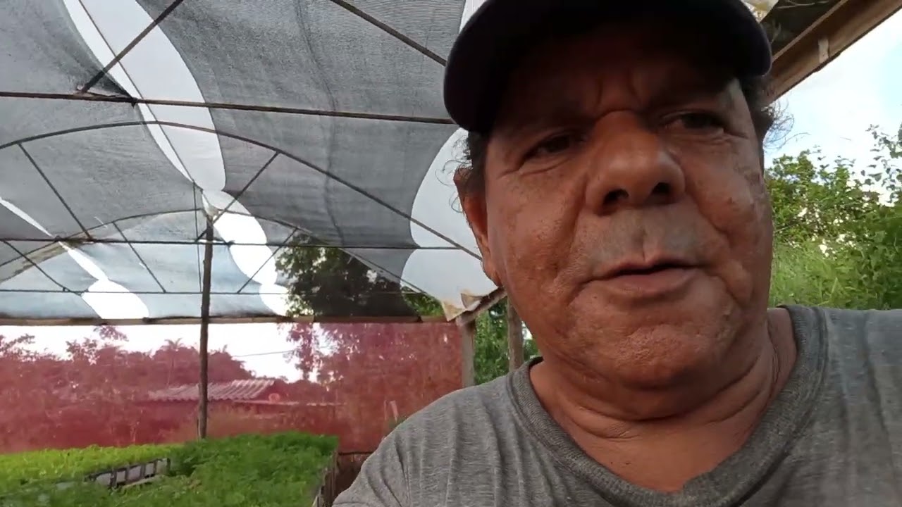 Iniciando as novas construções das novas bancadas na estufa