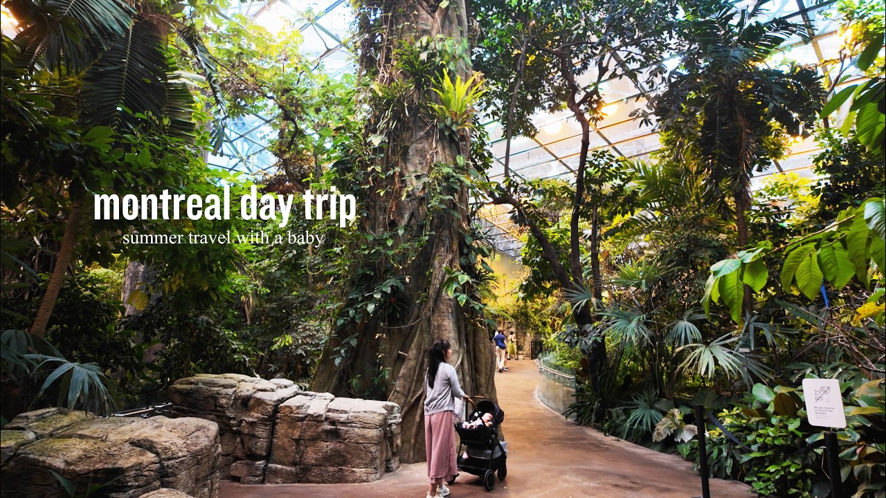 A summer day trip in Montreal with a baby, Biodome, picnic, poutines| Relaxing travel vlog