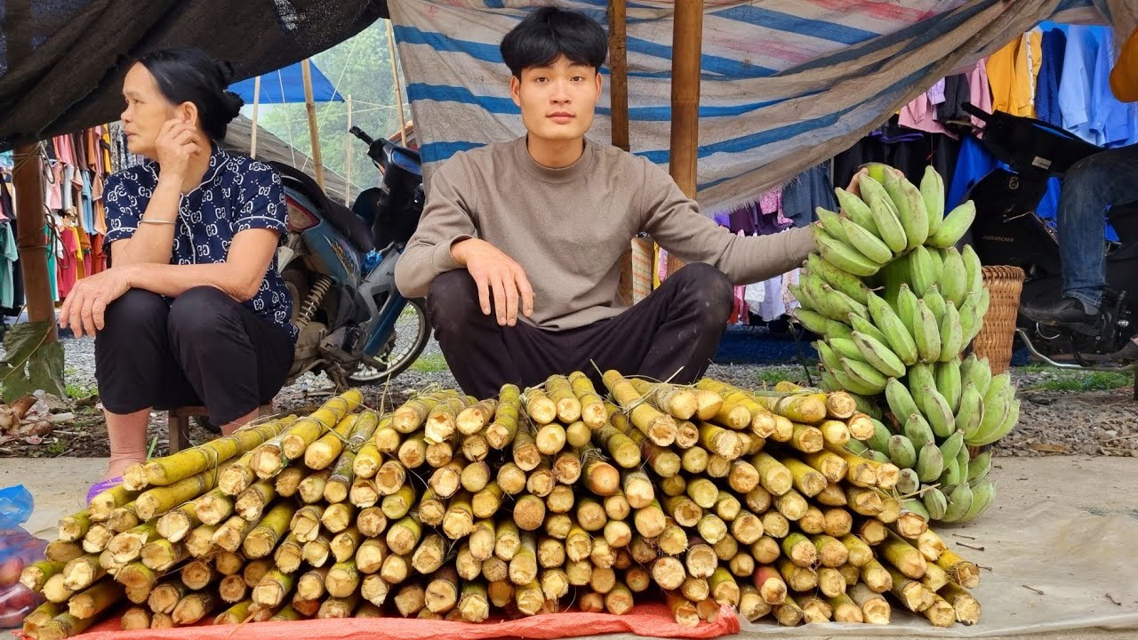 Full video 45 days of harvest, Cucumber, Vegetable, Sugarcane, go to market
