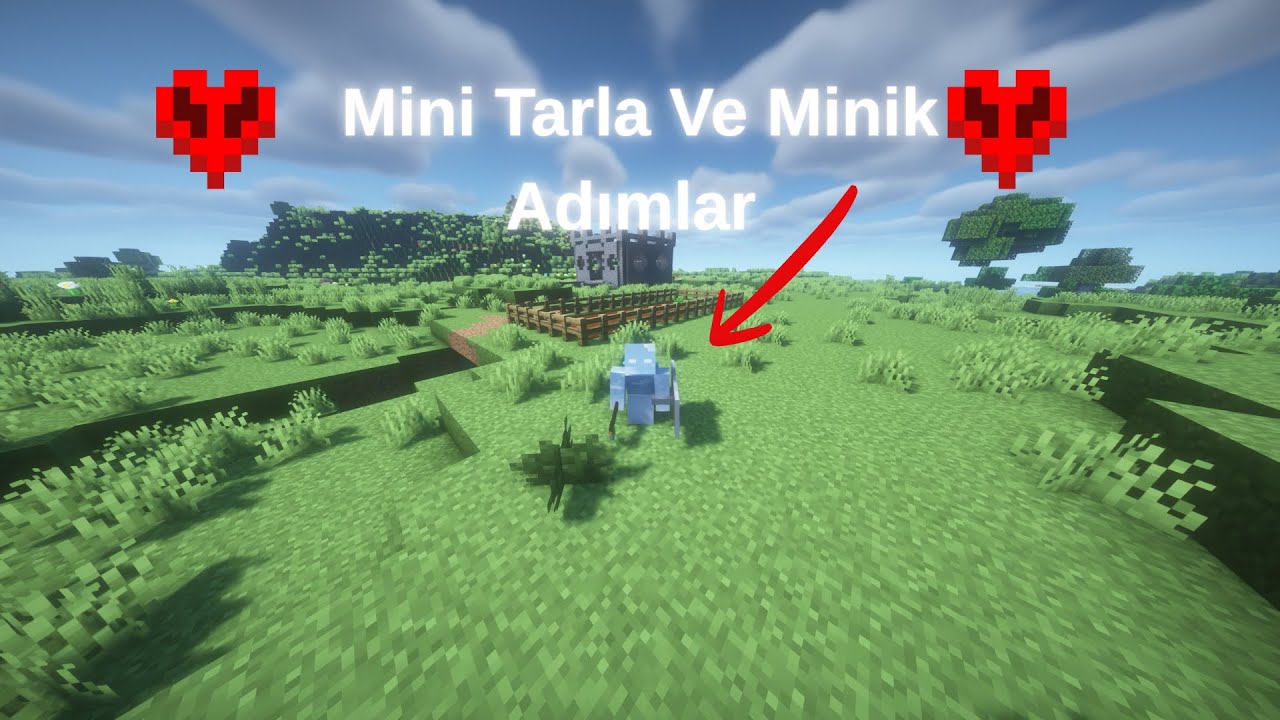 Minacraft Hardcore(Mini Tarla Ve Minik Adımlar )4.Bölüm