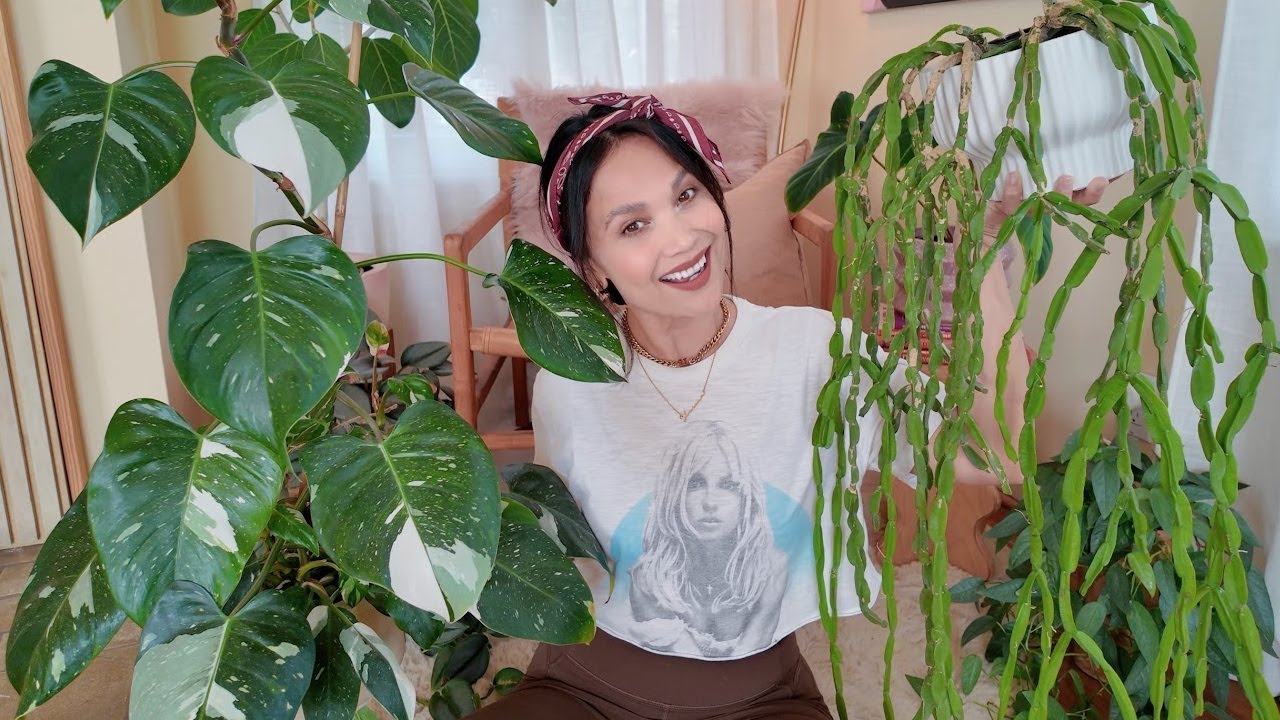 5 Super Easy Plants I love + 2 New Cuties 🪴