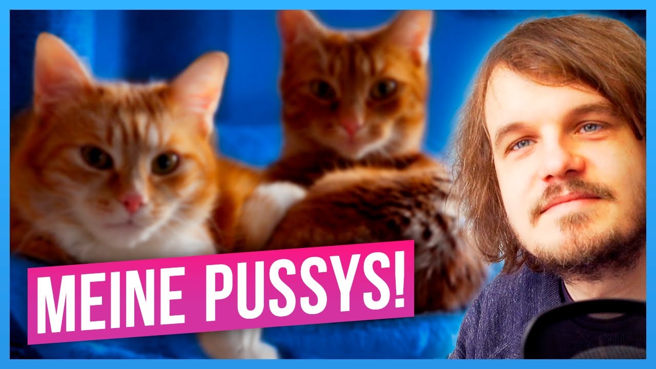ICH rede 17min lang über meine KATZEN