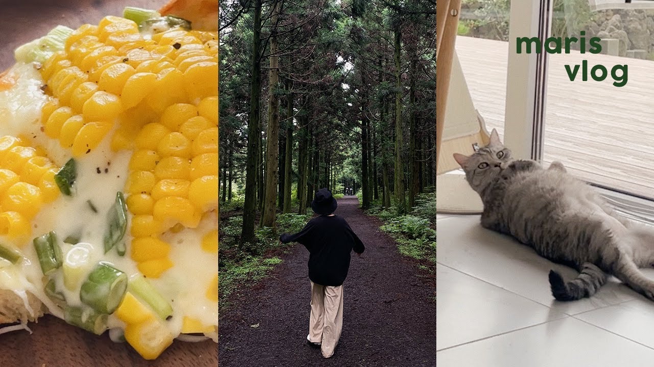 삼다수숲 가봤니?🌲, 바다가서 발만 담그고 온 사람, 초당옥수수&실파 토스트