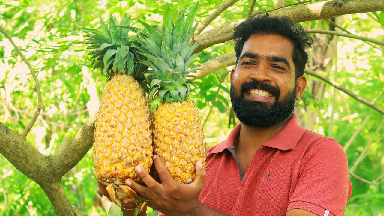 പൈനാപ്പിൾ വൈൻ ഈസിയായി ഉണ്ടാക്കാം ക്രിസ്മസ് പൊളിക്കാം | How To Make Pineapple Wine | Omkv Wine