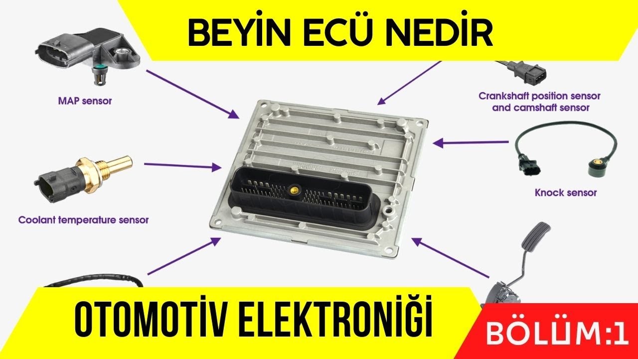 ECÜ, BEYİN NEDİR? MOTOR YÖNETİM SİSTEMİ NASIL ÇALIŞIR? SENSÖRLER OTOMOTİV ELEKTRONİK SİSTEMLERİ
