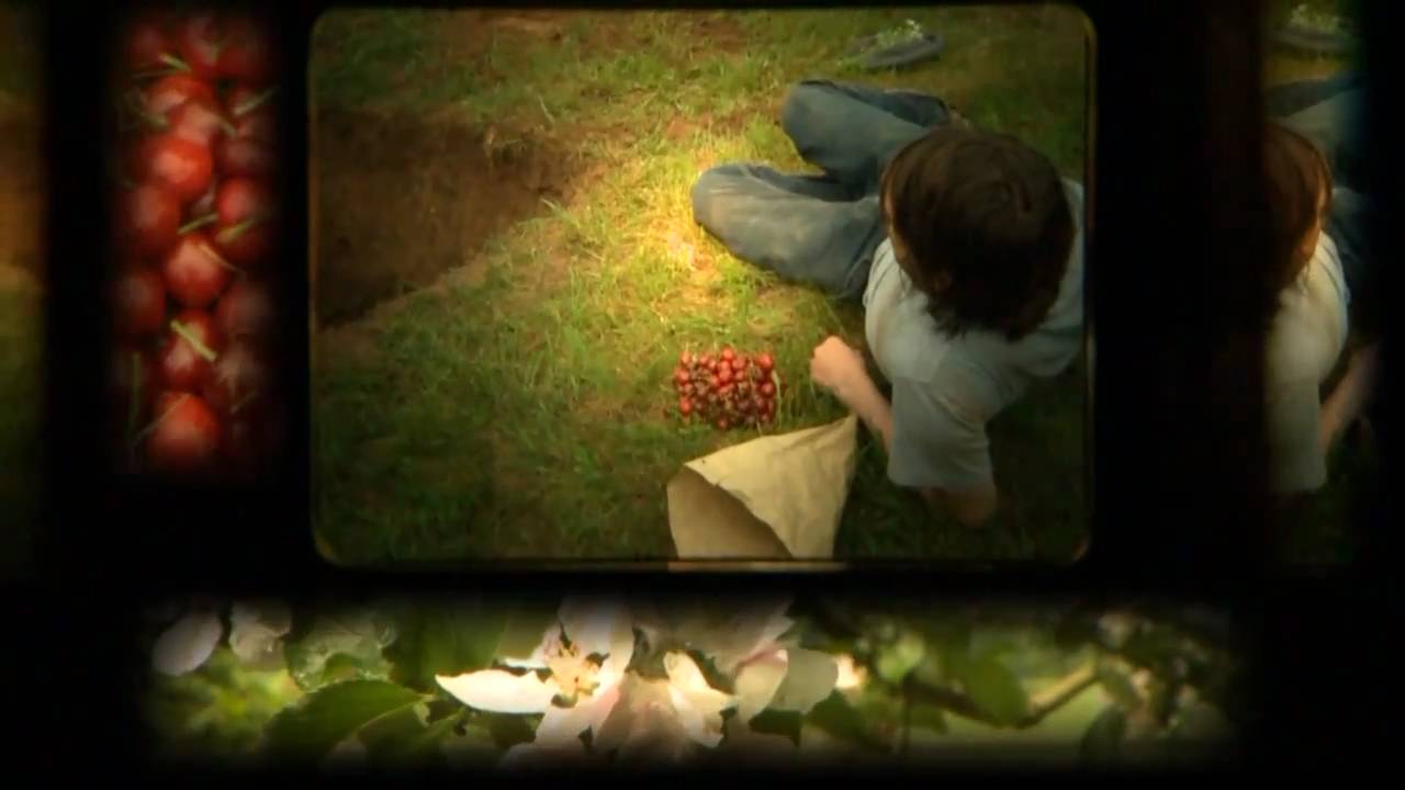 Nils Koppruch - Kirschen (wenn der Sommer kommt)