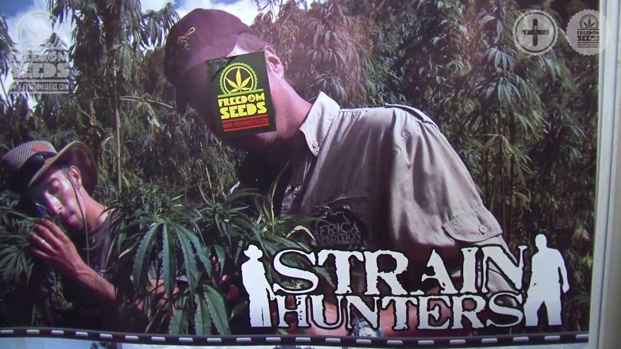 Cannafest 2013 - International Cannabis Fair - Freedom Seeds