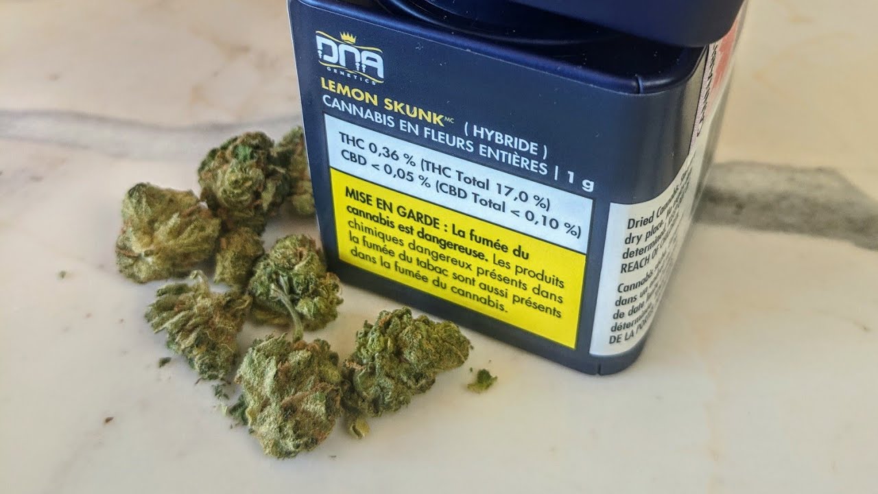 Canadian cannabis review DNA Genetics Lemon Skunk