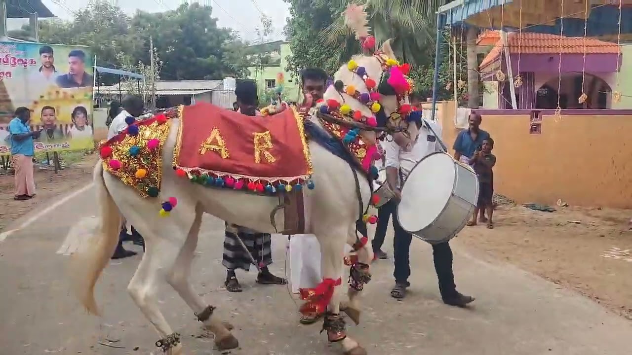 AR DANCING HORSE CELL NO:9486901145,9442328756