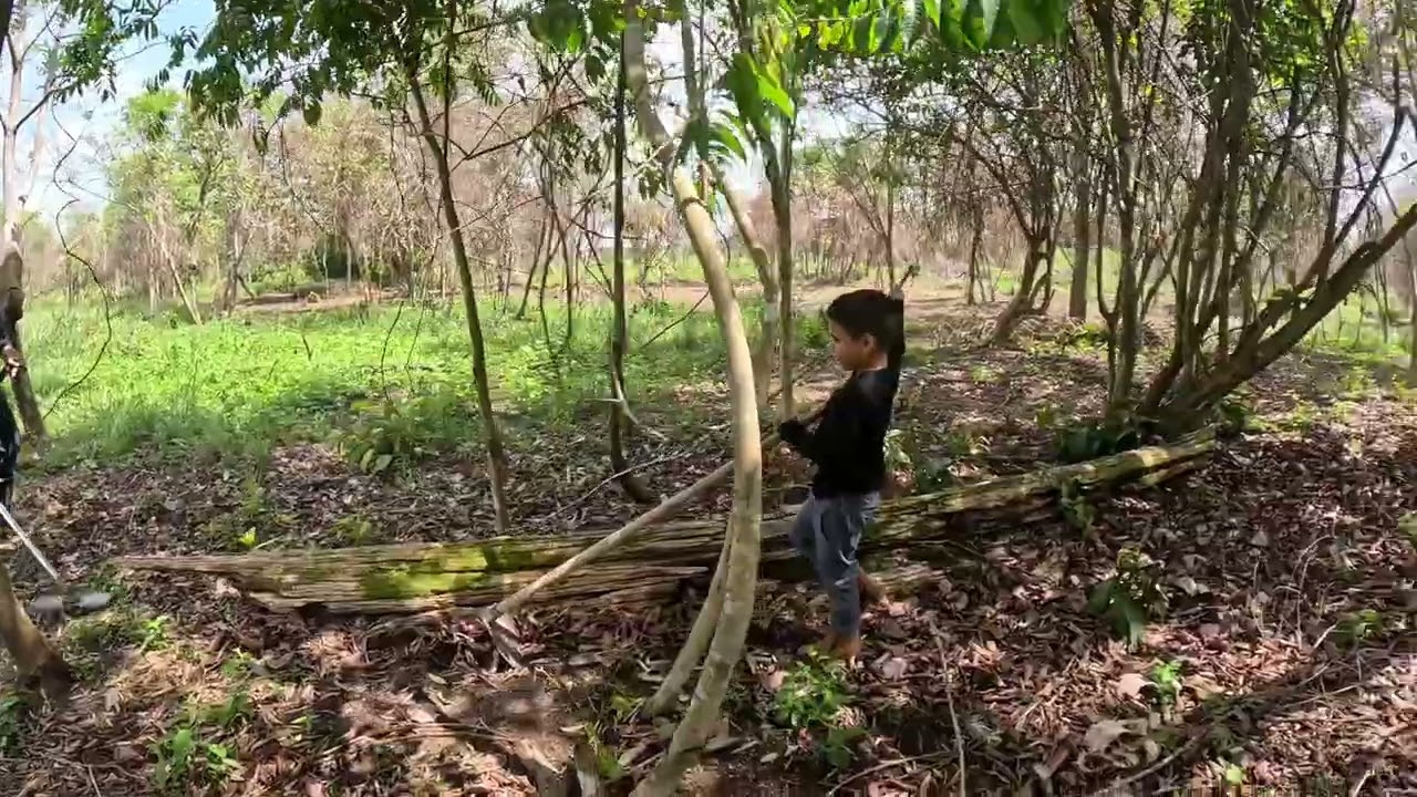 Futura chácara Amazonas 🙏