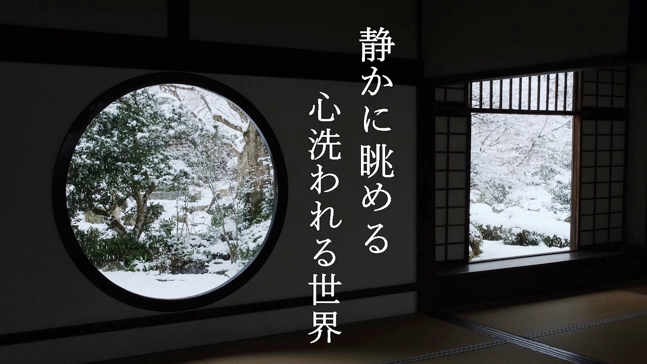 【大雪の京都】ただ雪が降る　静寂の世界｜上賀茂神社｜源光庵｜正伝寺｜常照寺