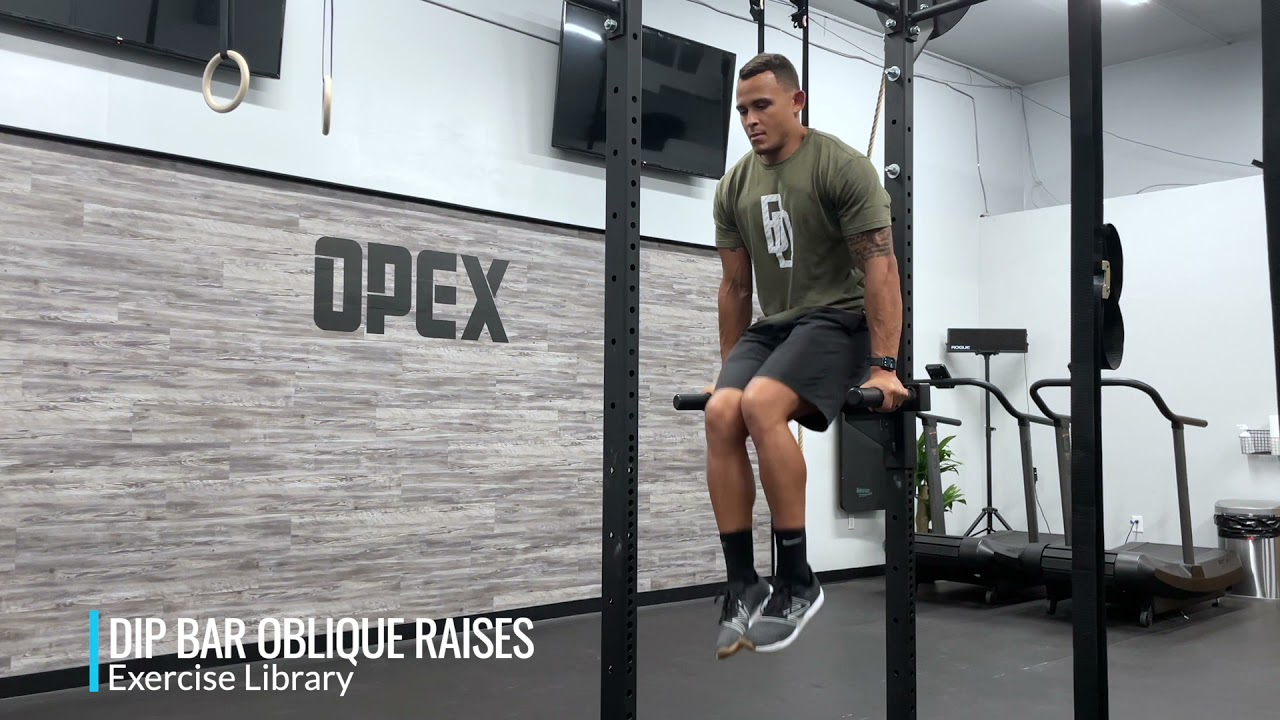 Dip Bar Oblique Raises