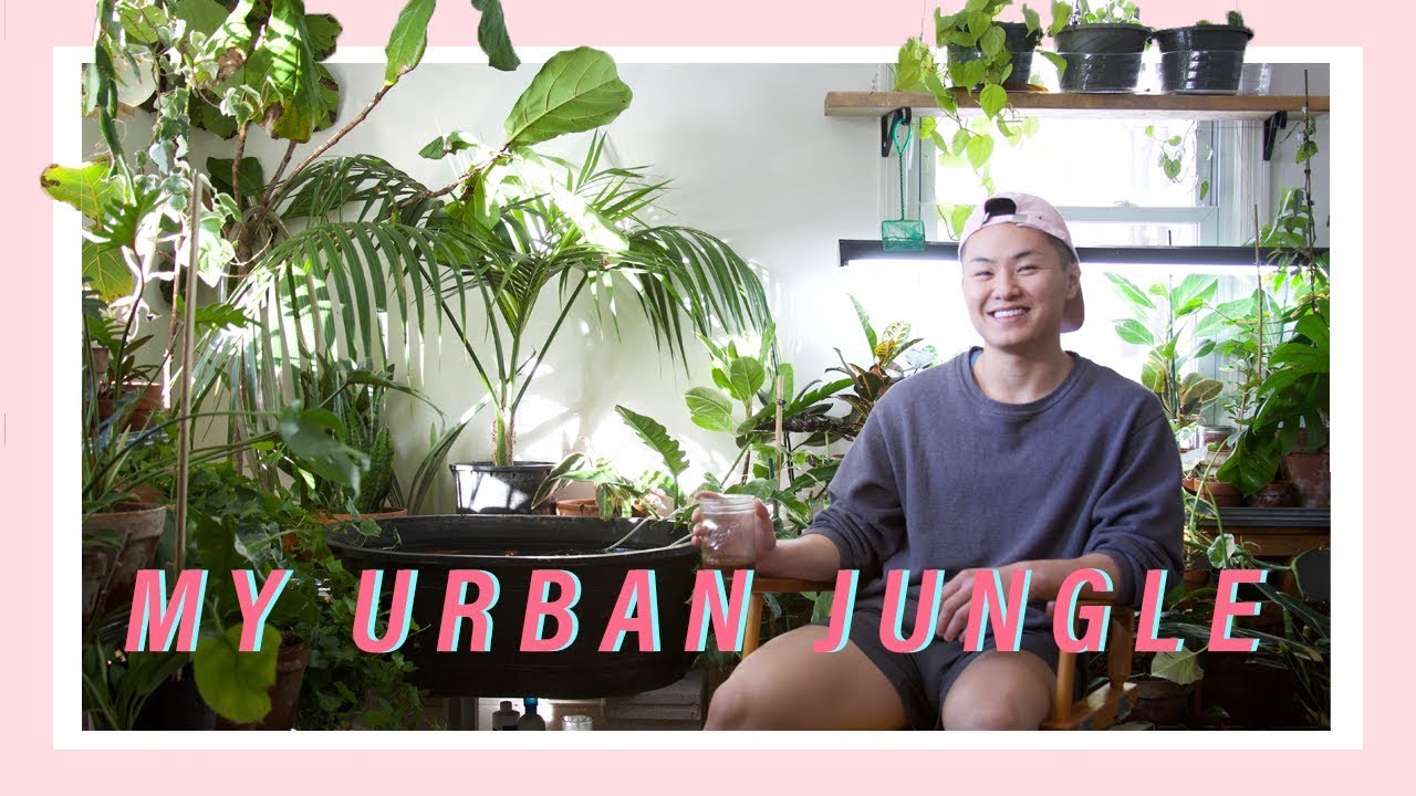 MY INDOOR JUNGLE TOUR (Living with 300+ Houseplants)