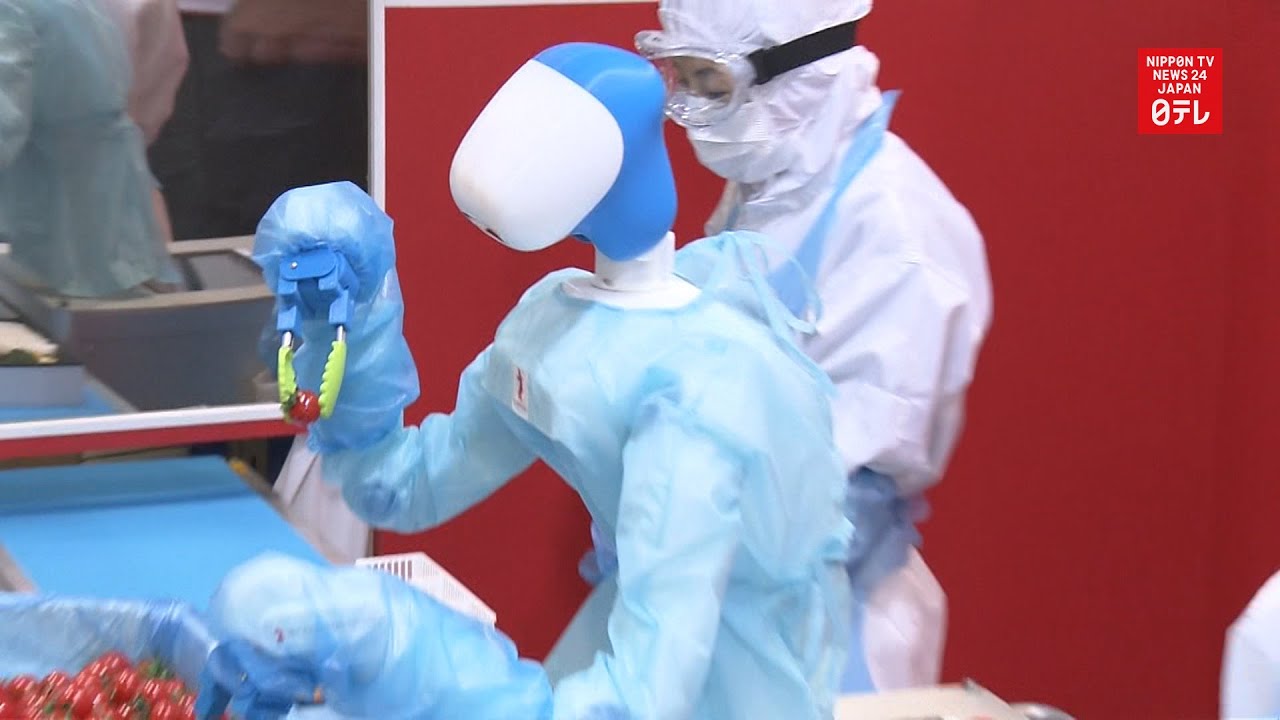 Tech solutions for Japan's labor shortage