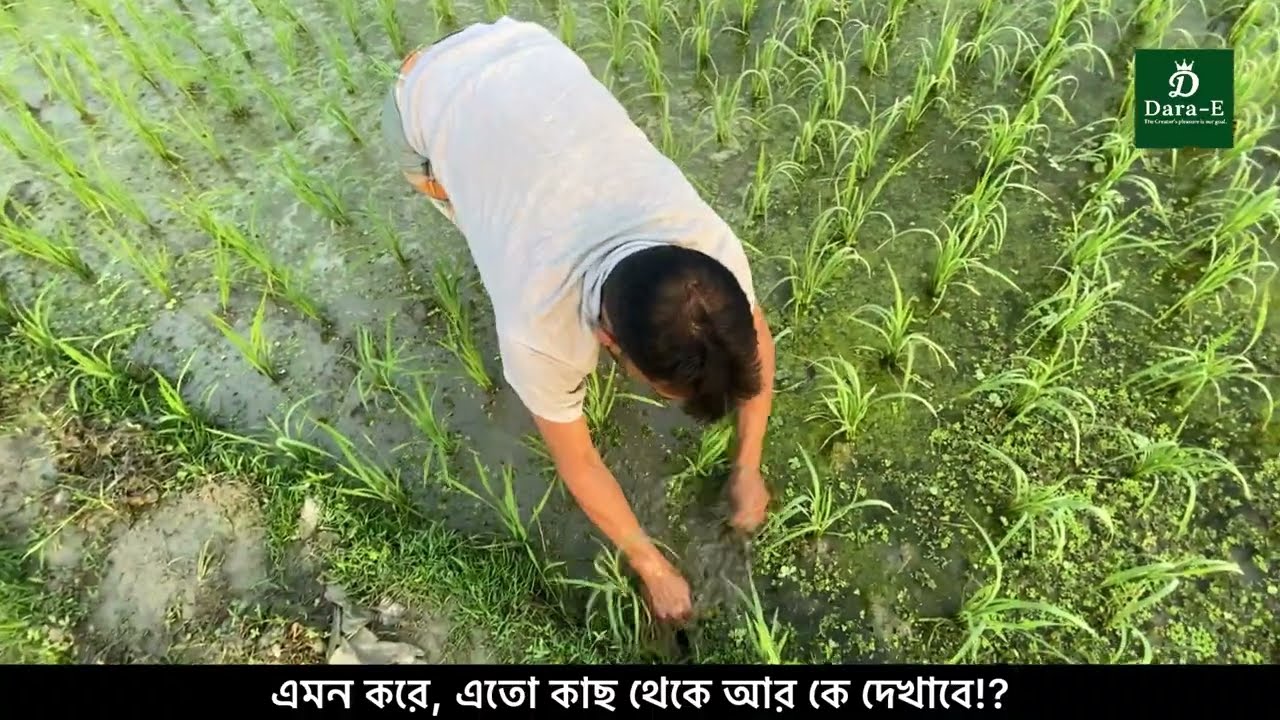 এমন করে, এতো কাছ থেকে আর কে দেখাবে?!