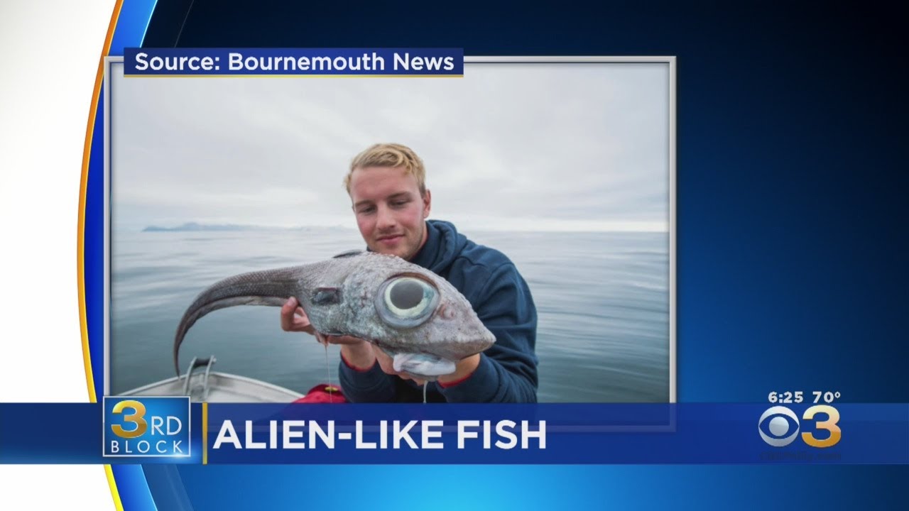 Fisherman Shocked After Reeling In Alien-Like Fish