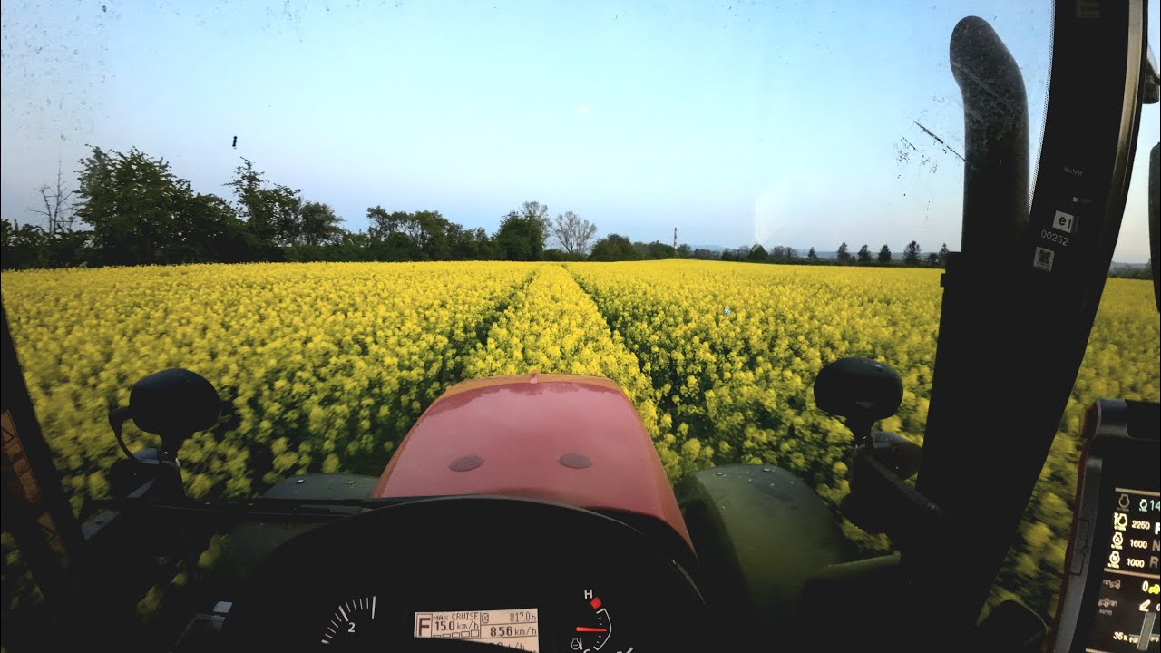 Rzepak - oprysk na opadanie płatka - 09.05.2023 - AgroFoto.pl 4K