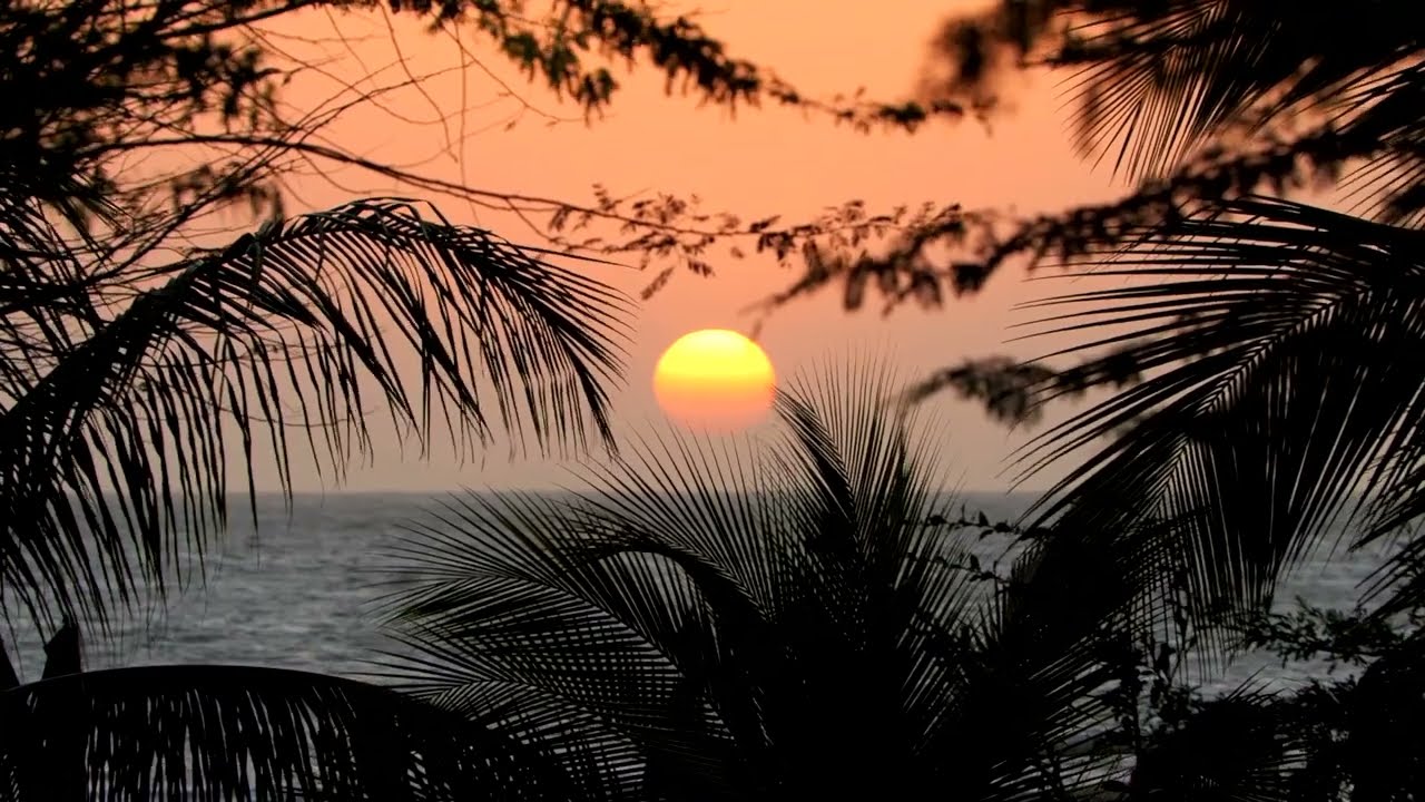 morros zoe proyecto entregado