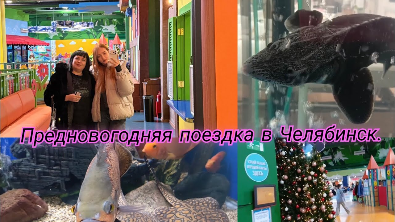 VLOG. Предновогодняя поездка в Челябинск/Гуляем по Ашану///🎄🎄🎄