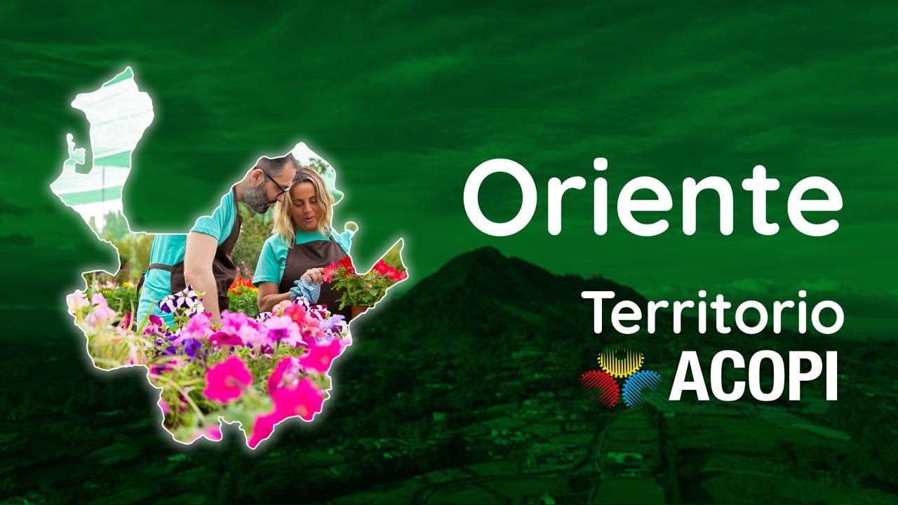 Oriente Antioque&ntilde;o: Un motor econ&oacute;mico para Colombia