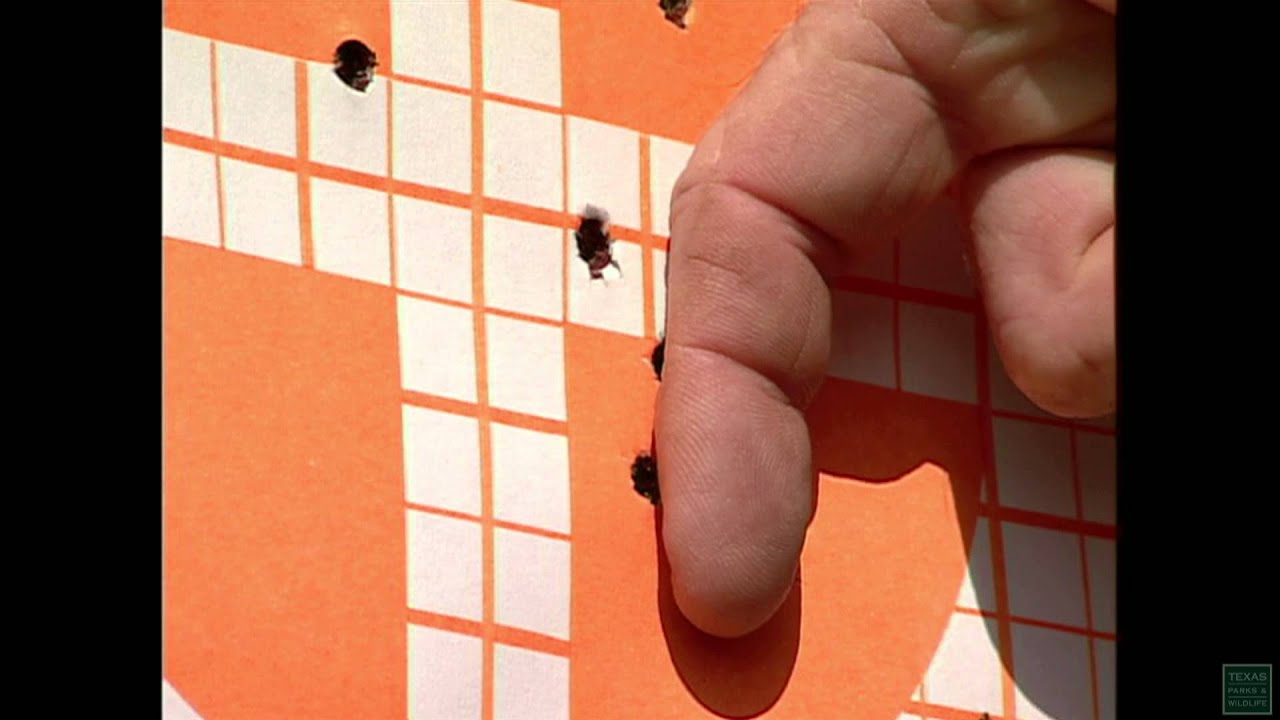 Hunter Education: Training Equals Safety in the Field