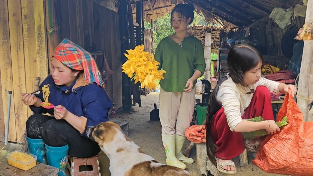 The orphaned girls only wished for a peaceful life with their daily routines.lv 0 20260226201802