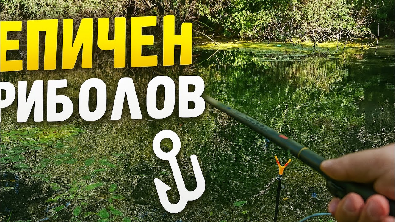 РИБОЛОВ НА РЕКА - СЪВЕТИ, УЛОВ И ЕМОЦИИ 🎣