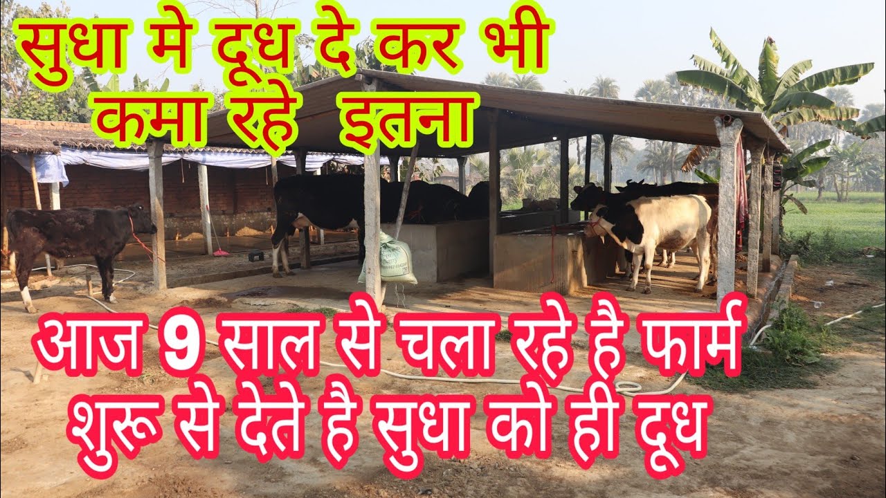 सुधा मेे दूध दे कर भी कमा रहे इतना ANS Dairy Farm Mujjaffarpur Bihar