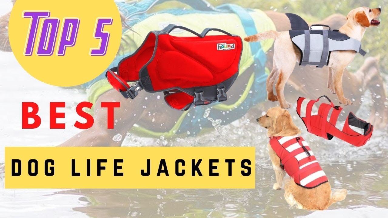 Latest Dog Life Jackets | Petsdel