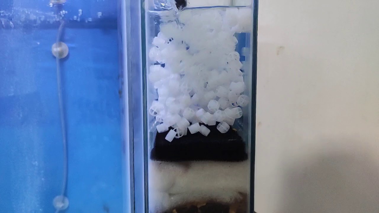 Tips susunan media filter aquarium filter samping (moving beds kaldness K1)