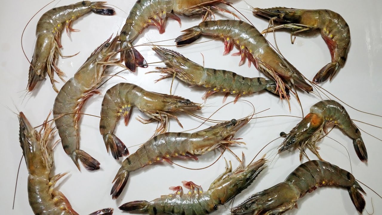 How To Clean, Cut and De-Vein Tiger Prawn/Shrimp | Cooking Basics - Chef Lall's Kitchen