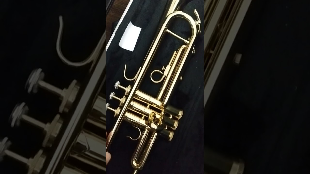 Weril D-Geneva, E-373, ET-1172 e ET-1171 todos sib a pronta entrega 😉🎺🎺🎺🎺