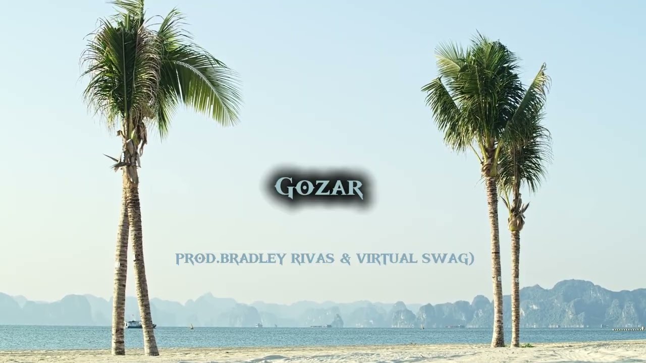 Gozar  Prod Bradley Rivas & Virtual Swag