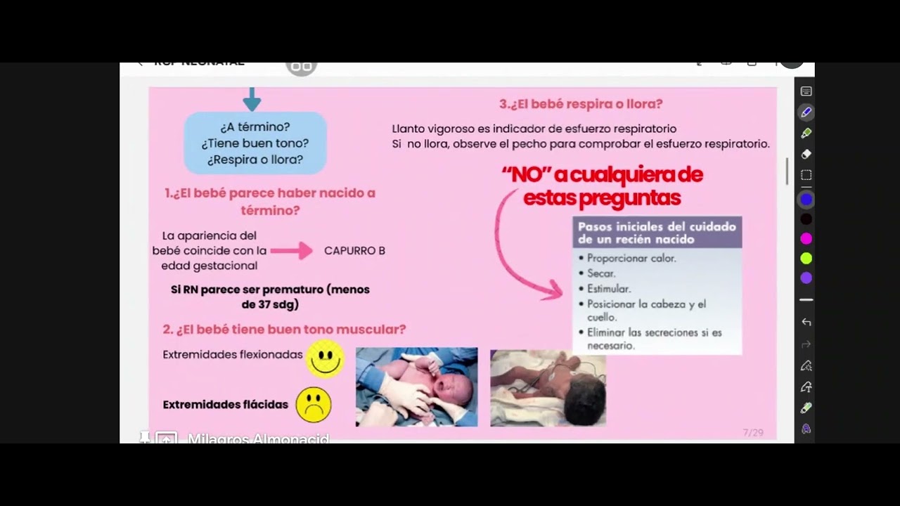 CLASE 6 - PEDIA - VERANO