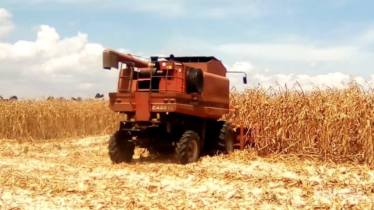 how to harvest maize/corn with CASE 4088 combine harvester in small farms