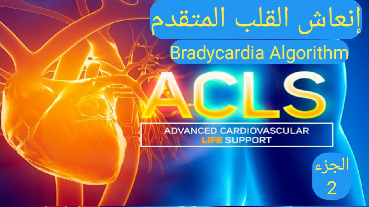 أنعاش القلب المتقدم . ADVANCED CARDIAC LIFE SUPPORT . BRADYCARDIA ALGORITHM . ACLS . الجزء 2