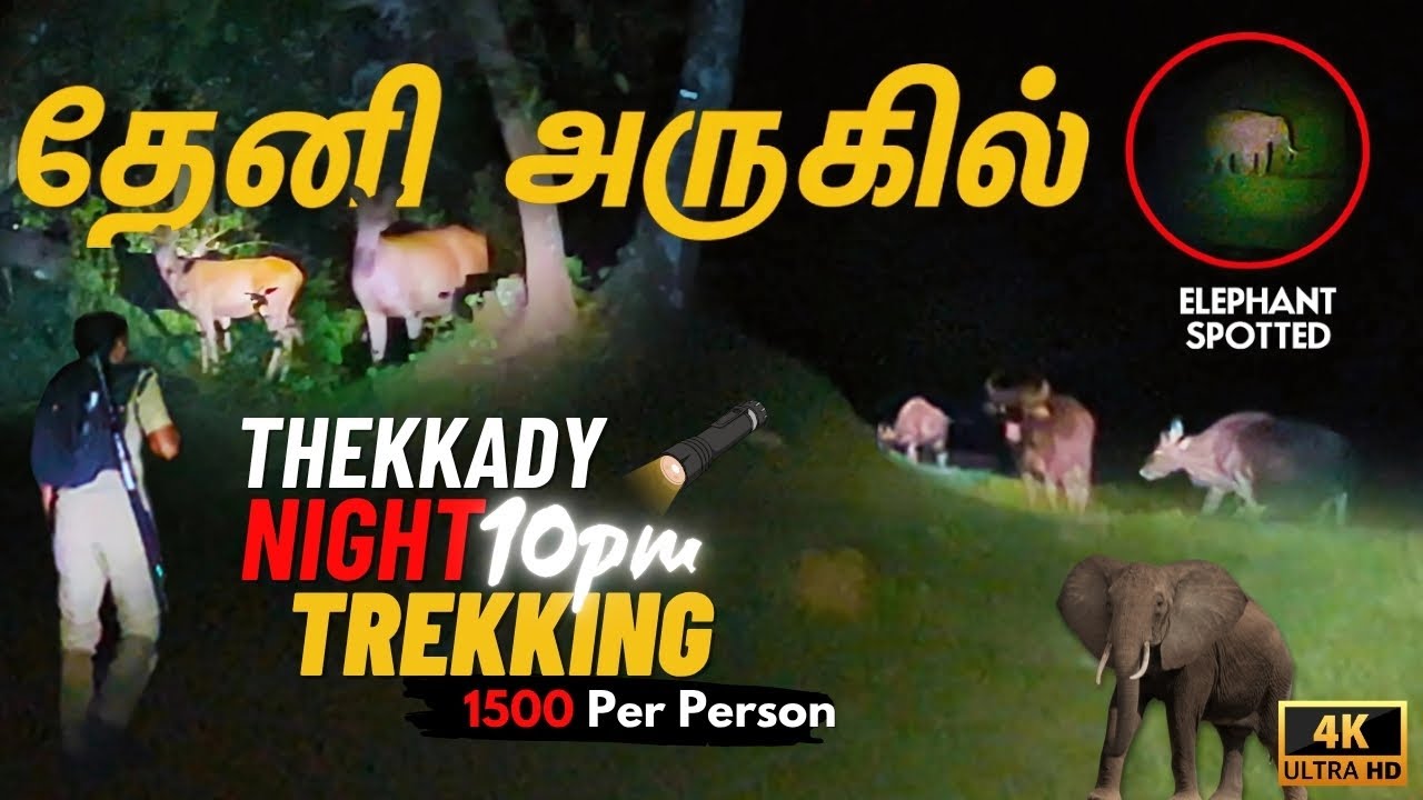 தேனி அருகில் திகில் நிறைந்த NIGHT TREKKING 🐘🐯| Periyar Tiger Reserve Trekking | Thekkady Night Trek