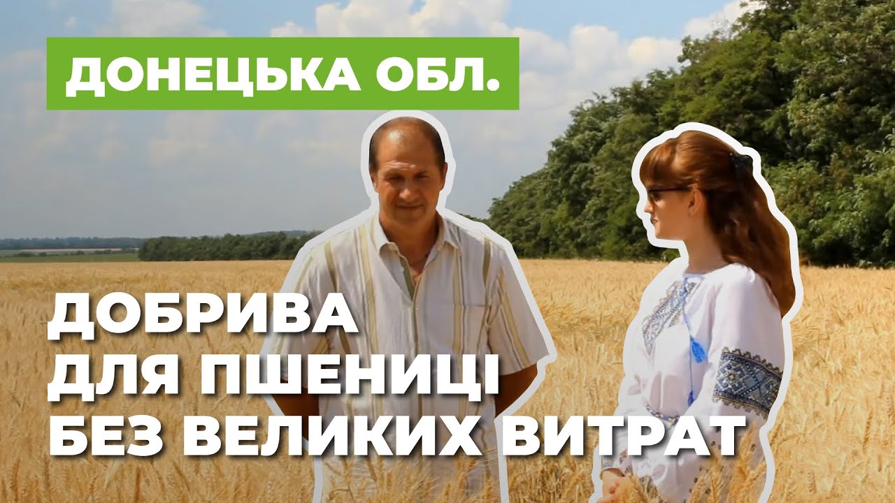 Пшеница по пару. Высокий урожай при минимальных затратах на удобрения
