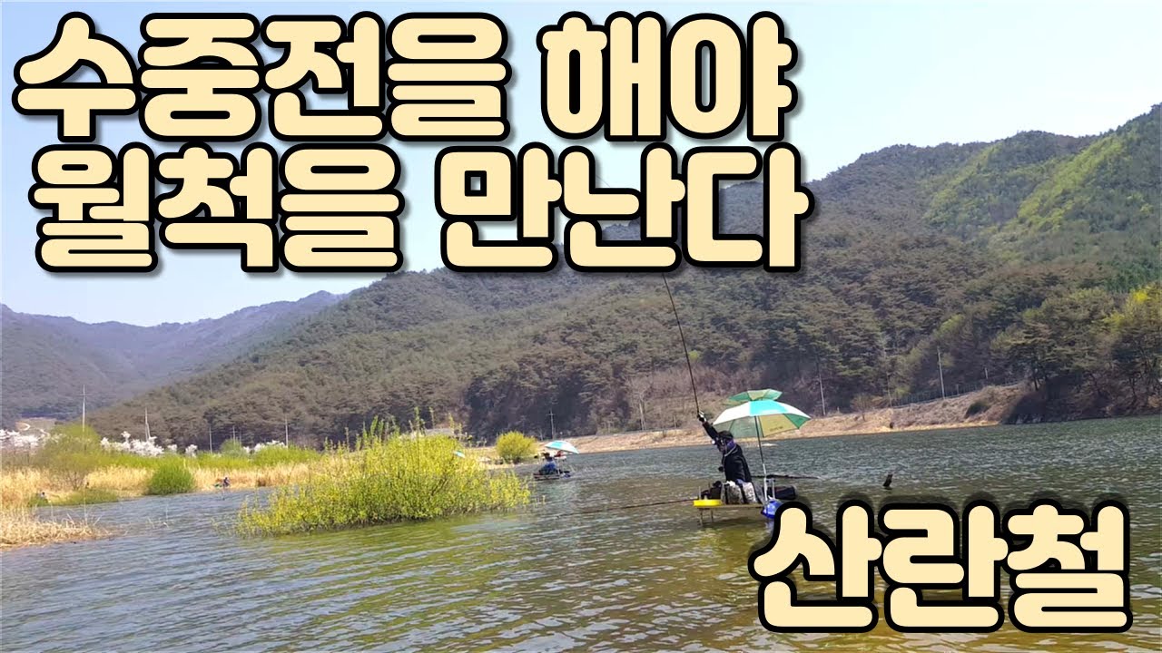 (산란철)수중전을 해야 월척을 만난다/중층낚시/붕어낚시/내림낚시/へらぶな