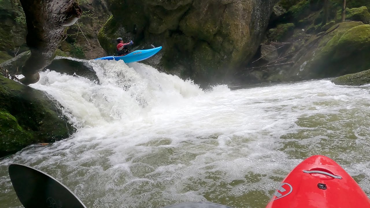Obere Urnäschschlucht – Bäume & Schäume...
