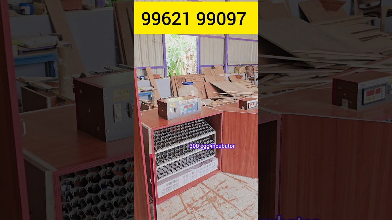 automatic incubator Best quality #automaticincubator #incubatormaking #incubatorintamil #mkincubator