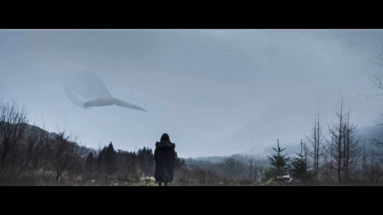 In memory of the 130 victims of the Blue Whale game