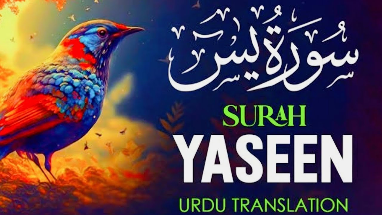Surah Yaseen in voice of sheikh Mishary Rashid alfasy #Allah#allahuakbar 